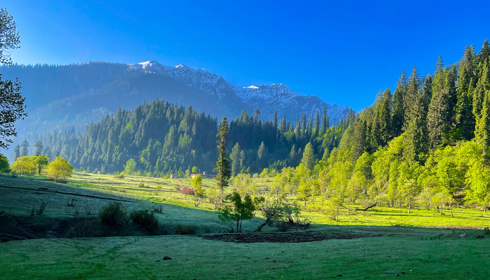 jammu2