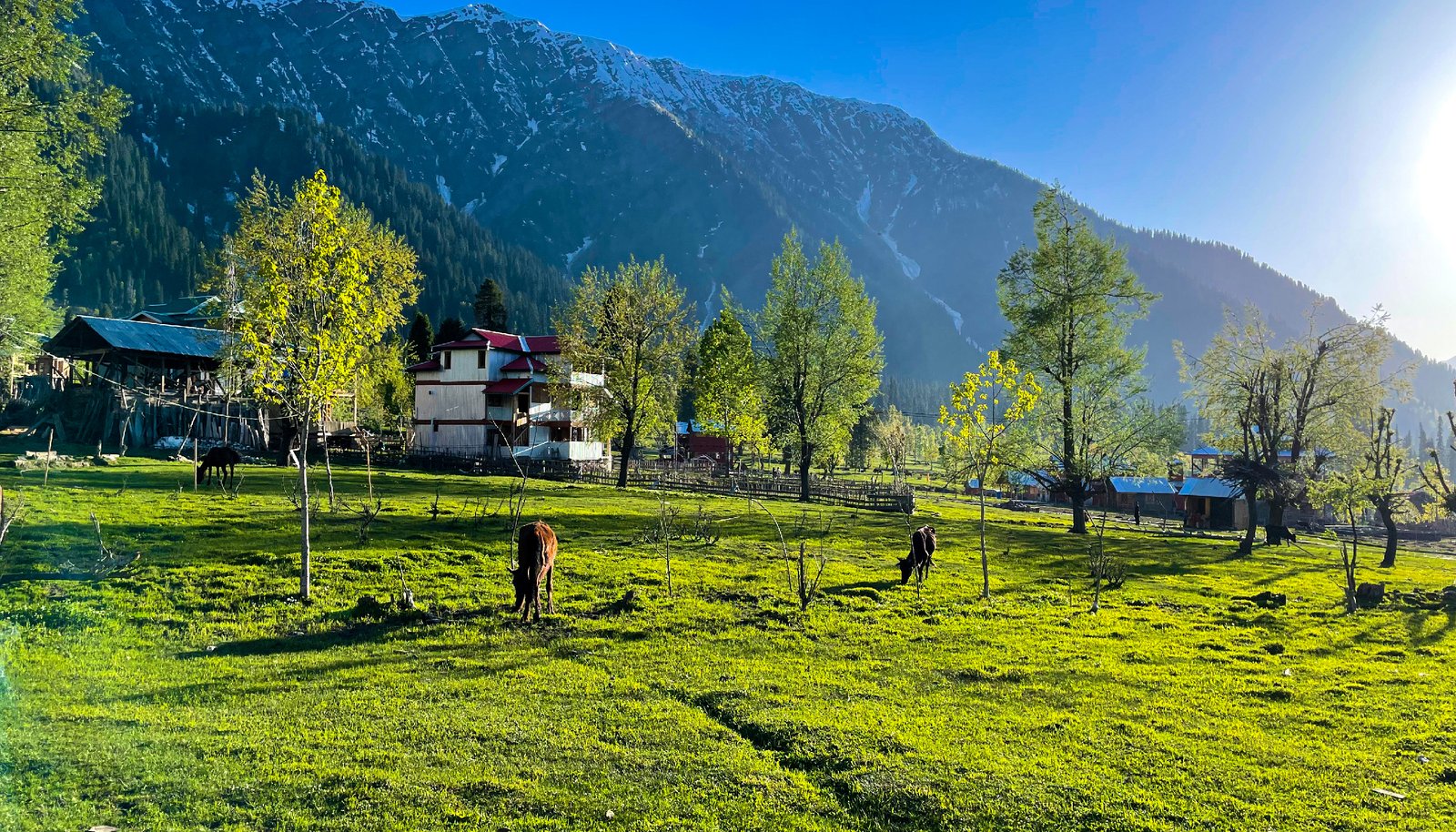 jammu3